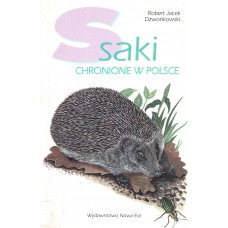 Ssaki chronione w Polsce